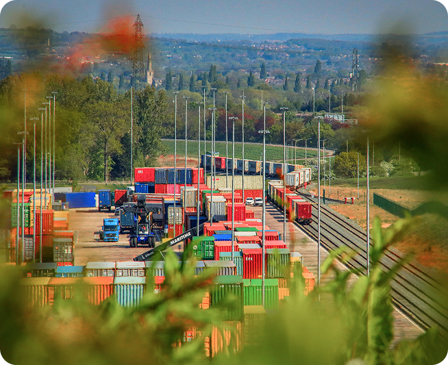 ProCargo